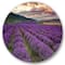 Designart - Lavender Field At Dawn I - Farmhouse Metal Circle Wall Art